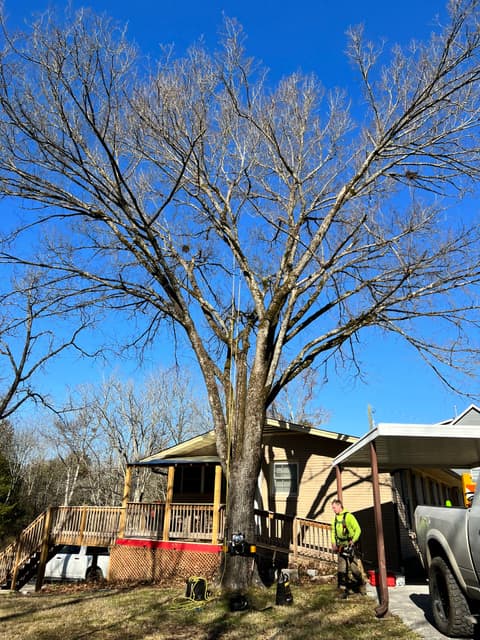 Customer photo from John McAdams’s review