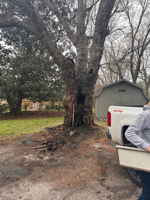 Customer photo from Mysty Diehl’s review